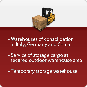 international auto shipping