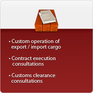 custom services